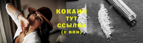 дживик Аркадак