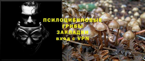 соль ск Переславль-Залесский