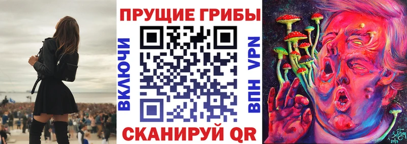 продажа наркотиков  Сосновый Бор  Псилоцибиновые грибы ЛСД 