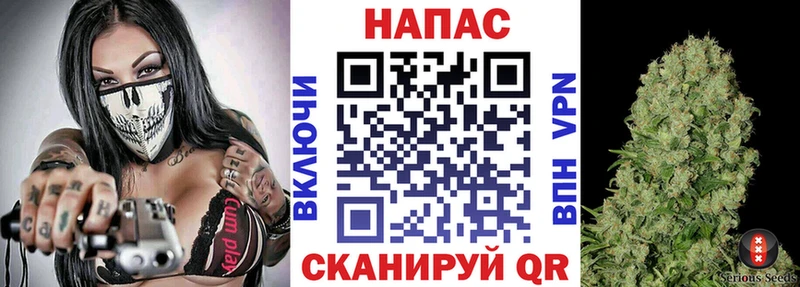 Конопля VHQ Сосновый Бор
